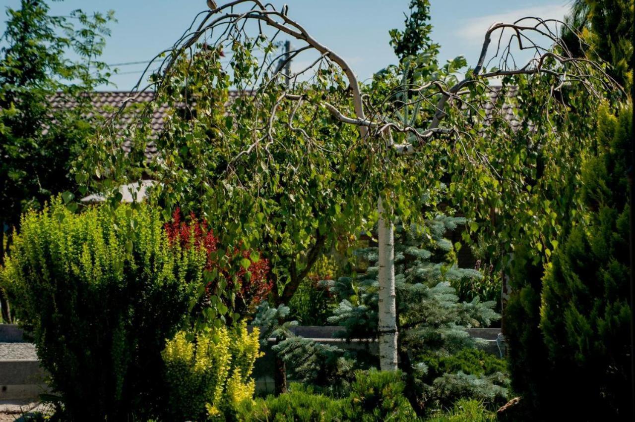 Villa Grand Family Rozhny Esterno foto